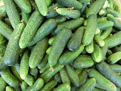 Health Benefits of Cucumber During Pregnancy