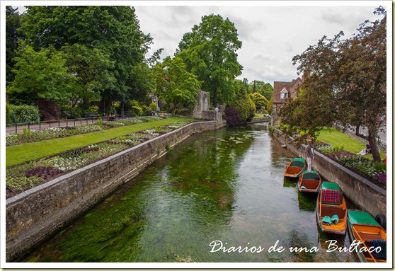 Canterbury-75