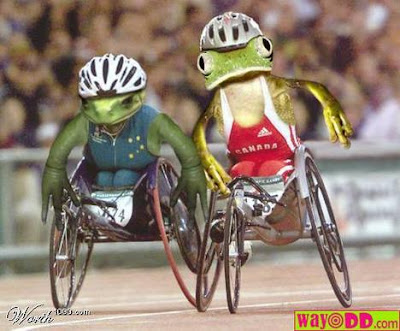 Funny Pics on Funny Frogs Pictures 3   Funny Comedy Pics