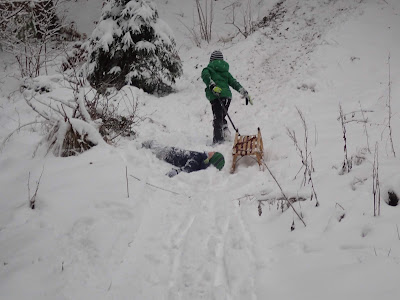 Pieniny, zima w Pieninach, zimowy spacer, zabawa na śniegu, jazda na sankach