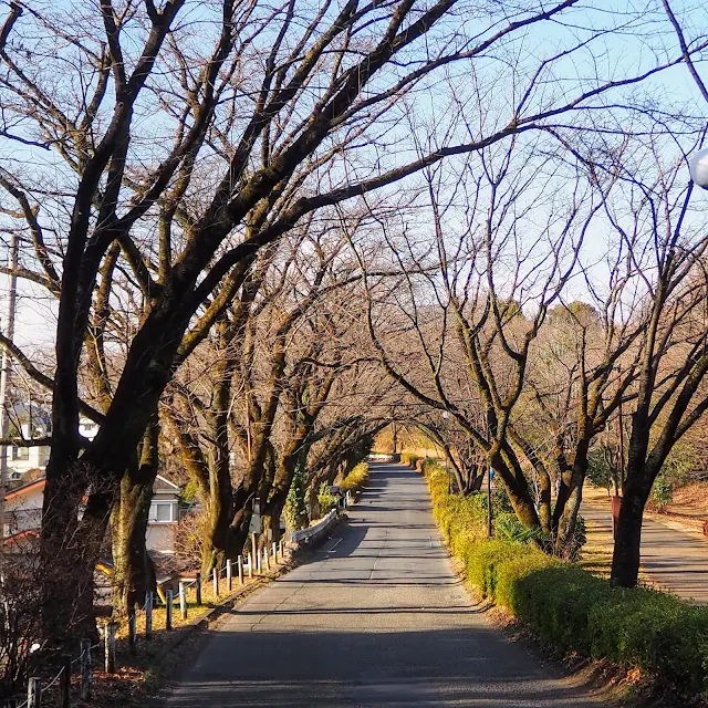 尾根緑道