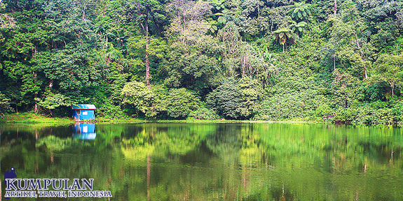 Cagar Alam Telaga Warna Puncak Bogor