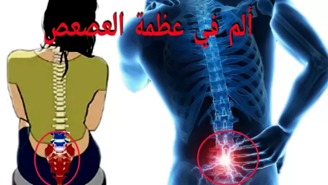 ألم أسفل العمود الفقري خلف الشرج