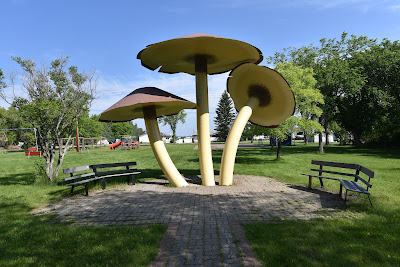 Vilna Mushrooms Roadside Attractions Canada.