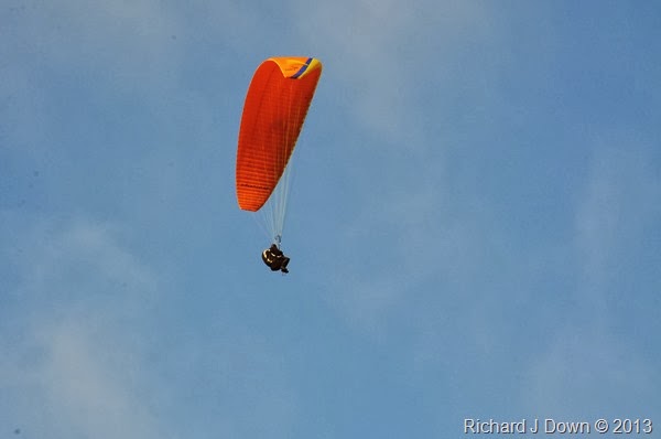 DSC_4266