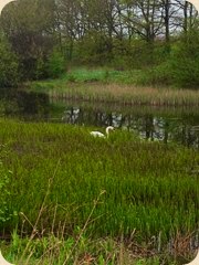 2013-05-16T10-28-01_9
