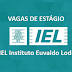 Vagas de Estágio - IEL Instituto Euvaldo Lodi