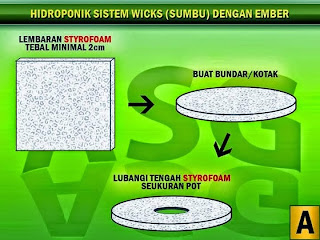 Hidroponik cabe sistem sumbu kompor 1