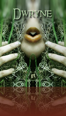 Dwryne Cover