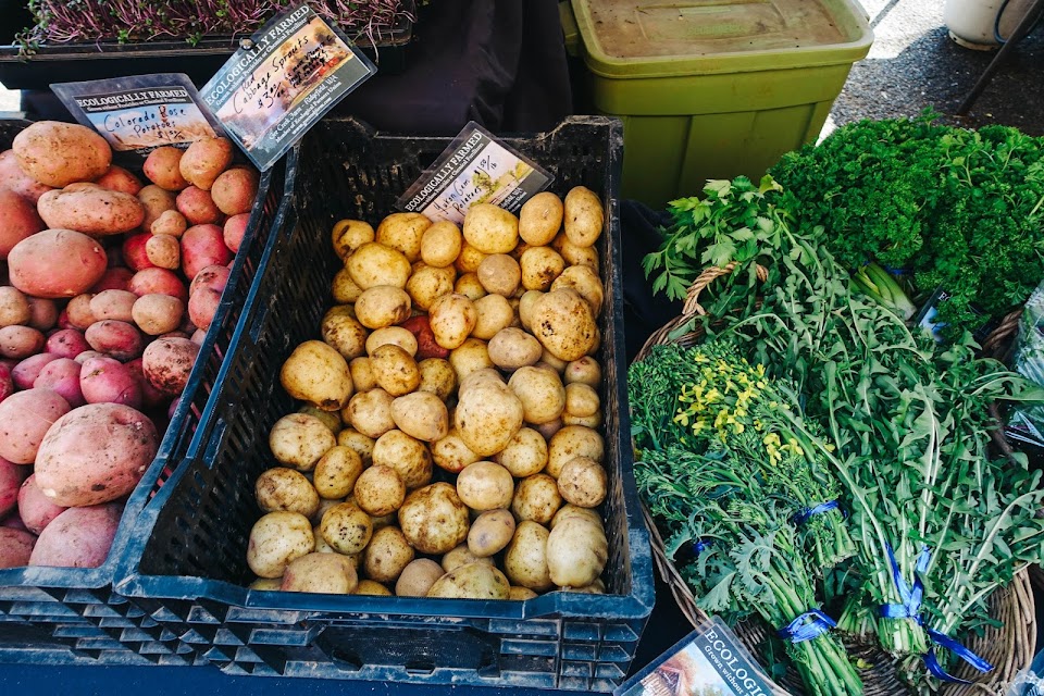 ポートランド・ファーマーズ・マーケット（Portland Farmers Market）　PSU