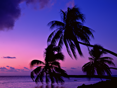 tropical beaches wallpaper. Tropical Twilight Beach and