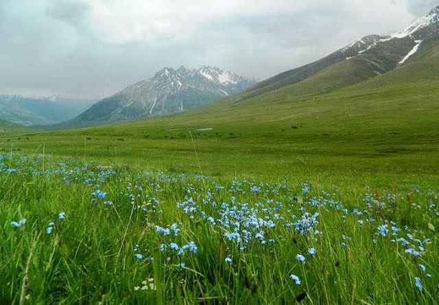 گلگت بلتستان بلاشبہ پاکستان کا بہترین سیاحتی مقام ہے۔ Gilgit-Baltistan is undoubtedly the best tourist destination of Pakistan.