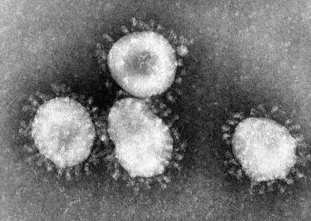 Coronavirus attack in china