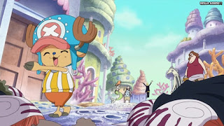 ワンピースアニメ 魚人島編 534話 チョッパー かわいい Tony Tony Chopper | ONE PIECE Episode 534