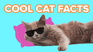 SOME LITTLE KNOWN CAT FACTS