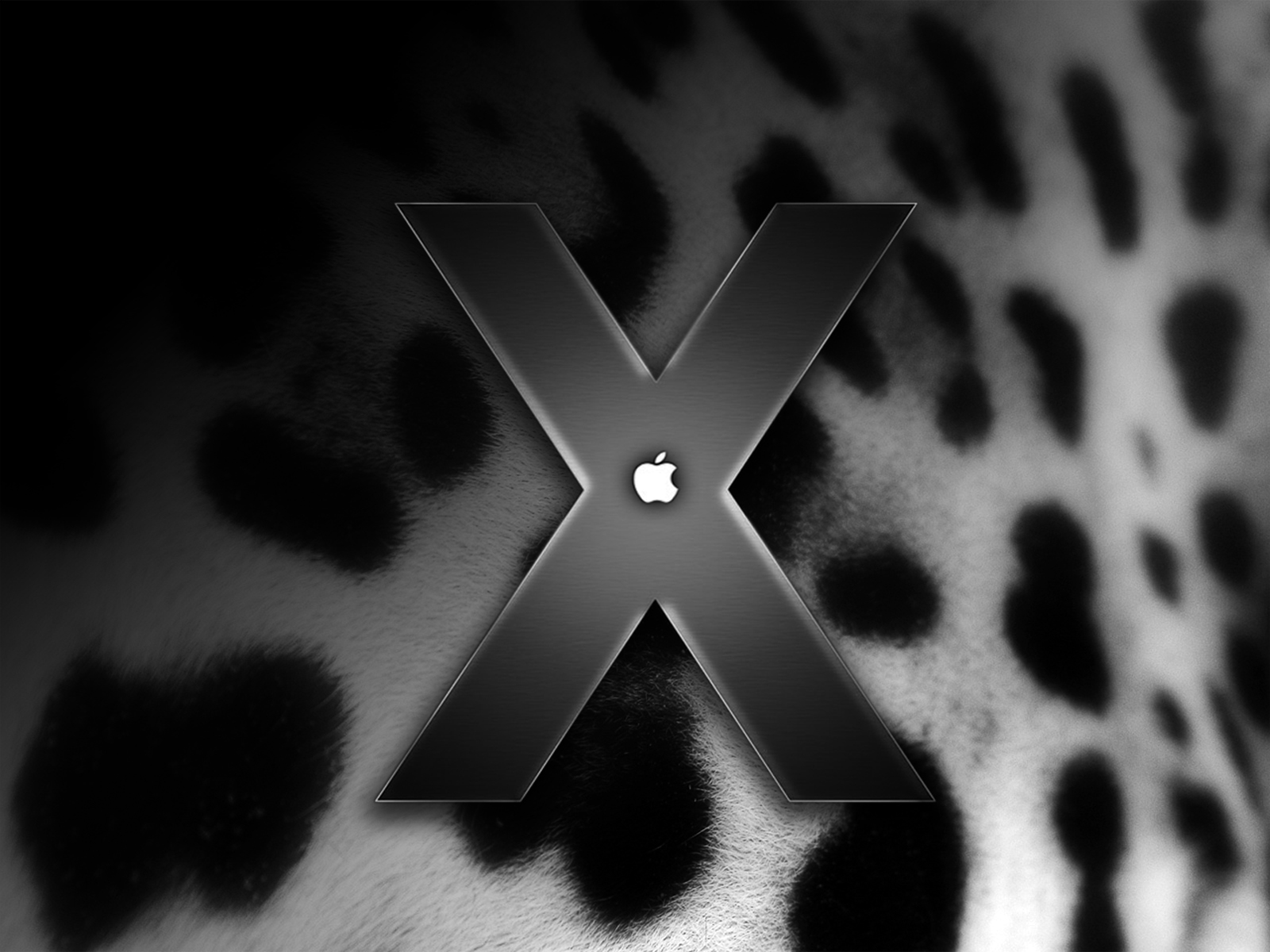 Jaguar for Mac OS X - The Best HD Wallpapers Nest
