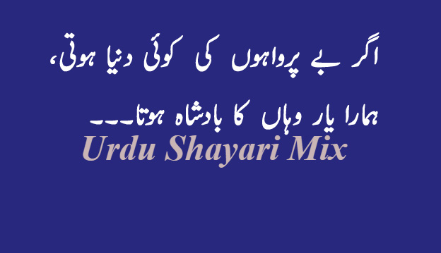 Agar be-parwahon | Bewafa shayari | Urdu shayari