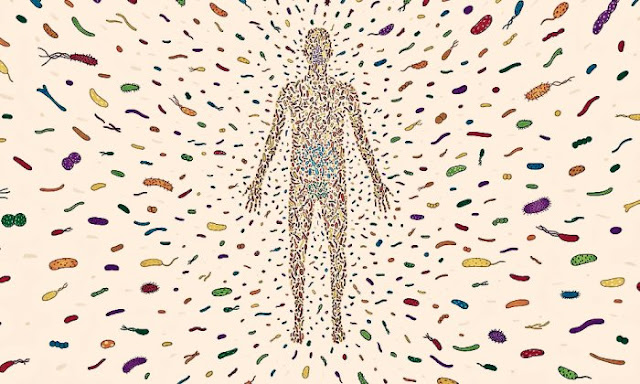Human Microbiome Market