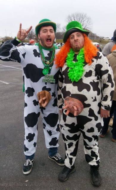 Having an udderly good time at Shamrockfest 2018