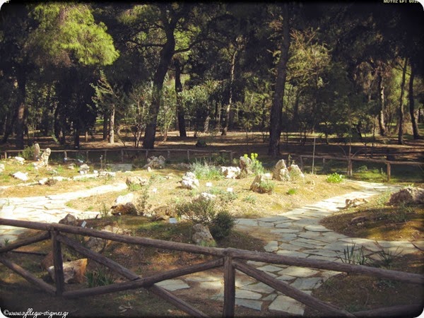 Περίπατο στον Βοτανικό Κήπο Διομήδους (Χαϊδάρι) by ♫ΣΥΛΛΕΓΩ ΣΤΙΓΜΕΣ♫