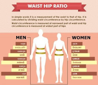 Waist to Hip Ratio Evaluation Test