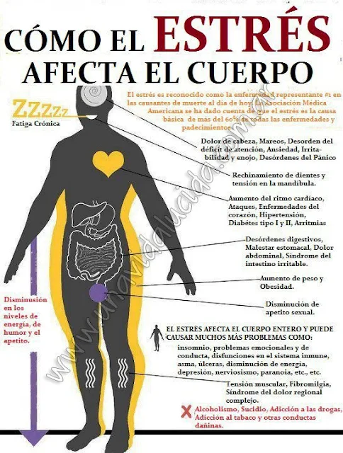 infografía  Eres docente, los mejores 12 consejos prácticos para hacer frente al estrés