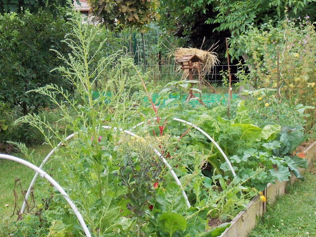 le jardin, une source de plaisirs illimités pour toute l'année