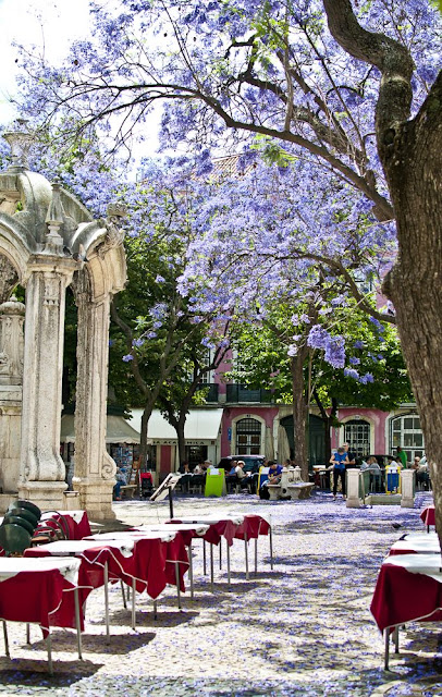 Portugal - Lisboa como nunca a viu Largo do Carmo