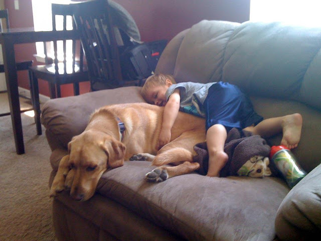 Little boy and his dog friend (24 pics), dog and baby friends pics, cute dog pics, adorable photos of baby and dog