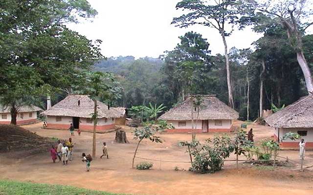 Salonga National Park Congo Heritage