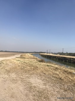 Biking along the canal