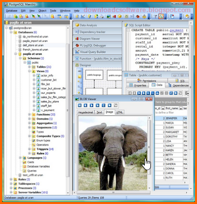 Serial PostgreSQL Maestro 15.4.0.1