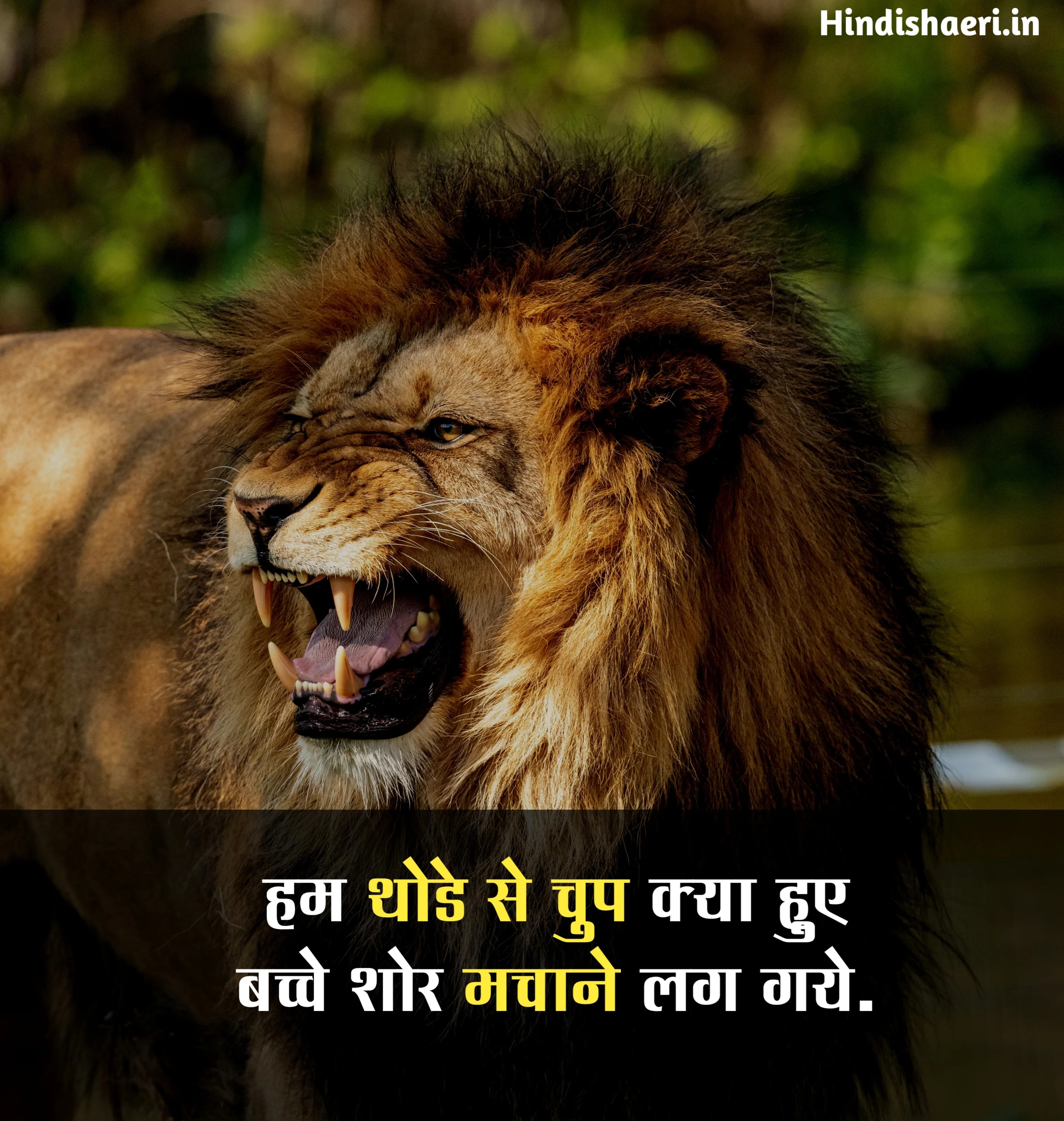 Best Attitude Quotes in Hindi Images | बेस्ट एटीट्यूड स्टेटस