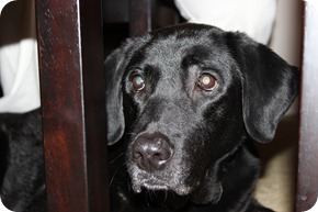 IMG_0061