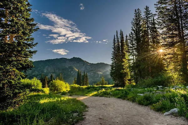 Finding Hidden Gems: Uncovering Cheap Airline Tickets to Family-Friendly Destinations