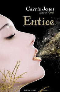 Entice (English Edition)