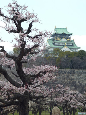 大阪城梅林