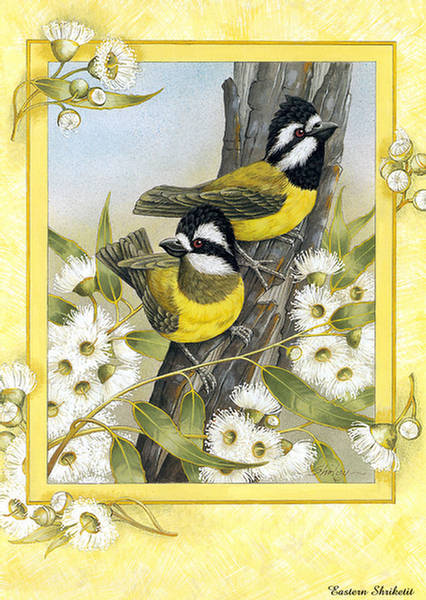 Beautiful Bird Paintings