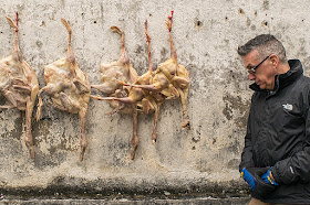Canards suspendus au mur d'une maison à Xidi