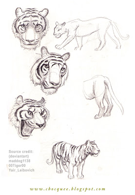 sketchbook drawings of tigers