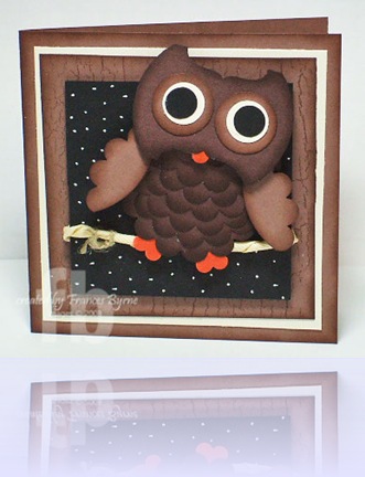 punched-owl-wm