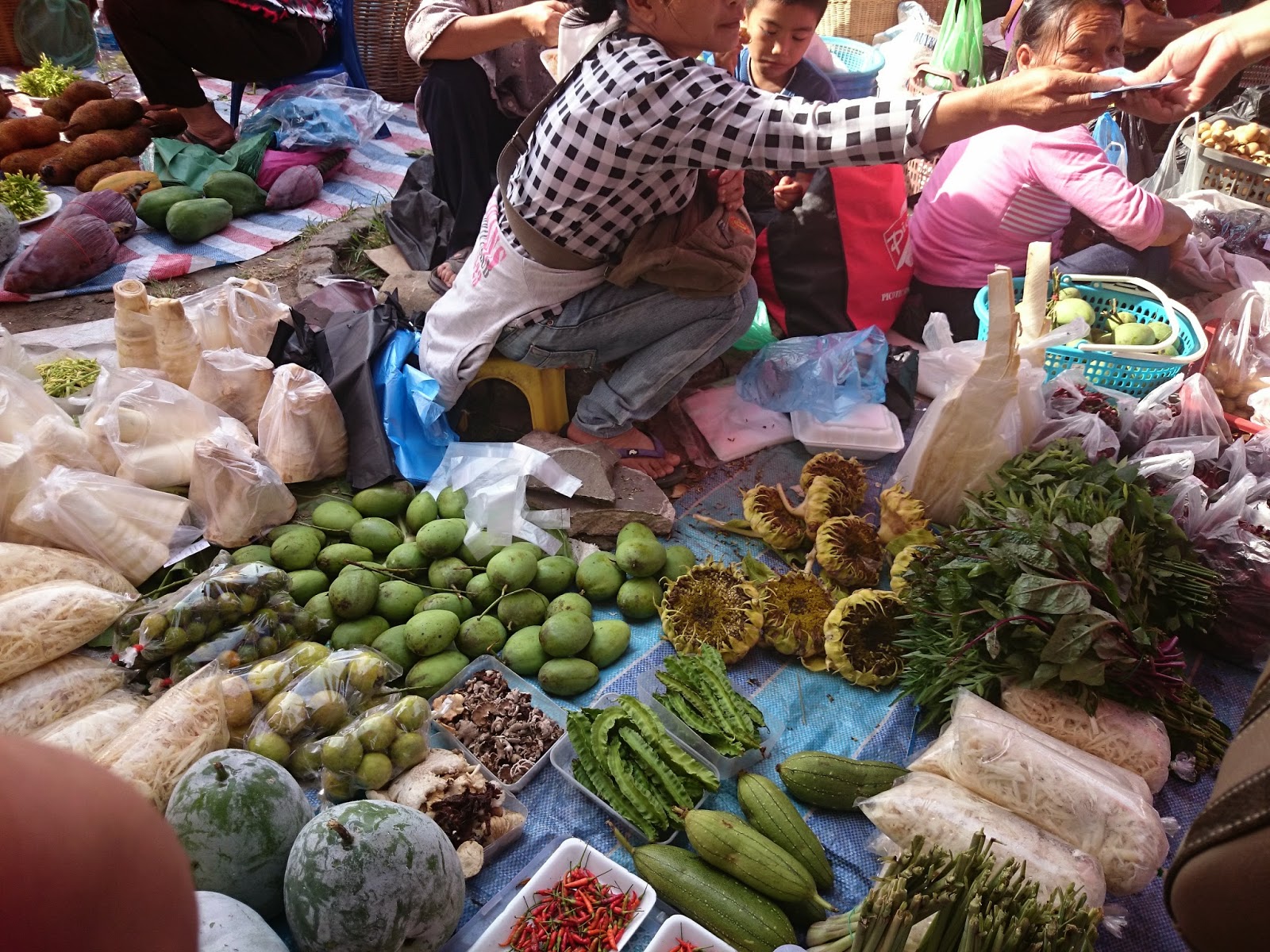  Gambar  gambar  di sekitar Tamu Tamparuli Sabah Nurul 