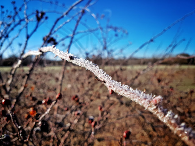 Juzbado libro abierto frío paisaje invierno