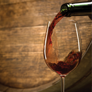 Busch Gardens Wine Tasting