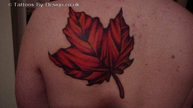 japanese maple leaf tattoo designs. japanese maple leaves tattoo.