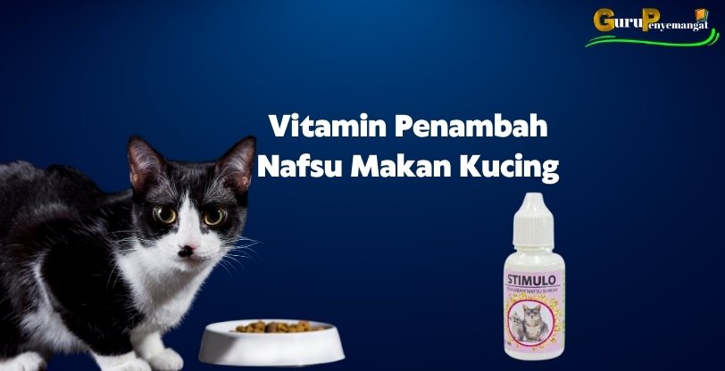 Vitamin Penambah Nafsu Makan Kucing