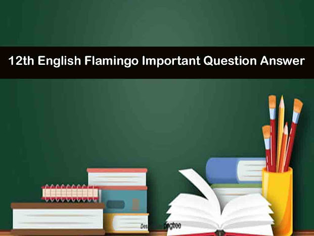 12th English Flamingo Important Question Answer