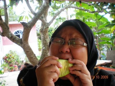 Jawapan Teka Teki Pegang Boleh Ambil Tak Boleh  Rasmi My