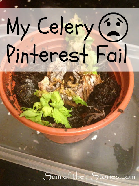 my celery pinterest fail