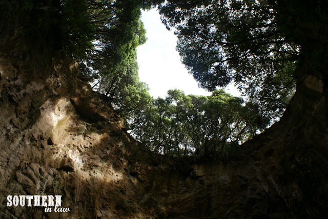 Hahei Explorer Boat Tour Cathedral Cove Coromandel Peninsula New Zealand